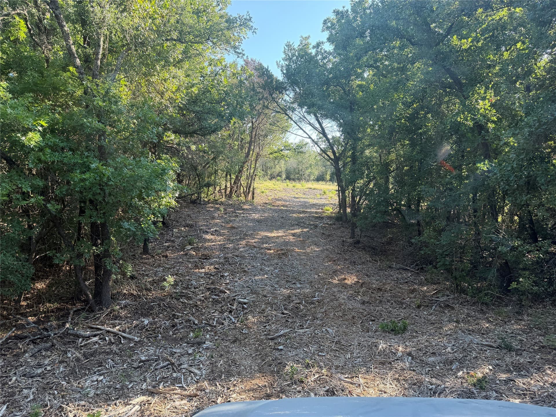 10.09 acres in Bosque County - photo 22