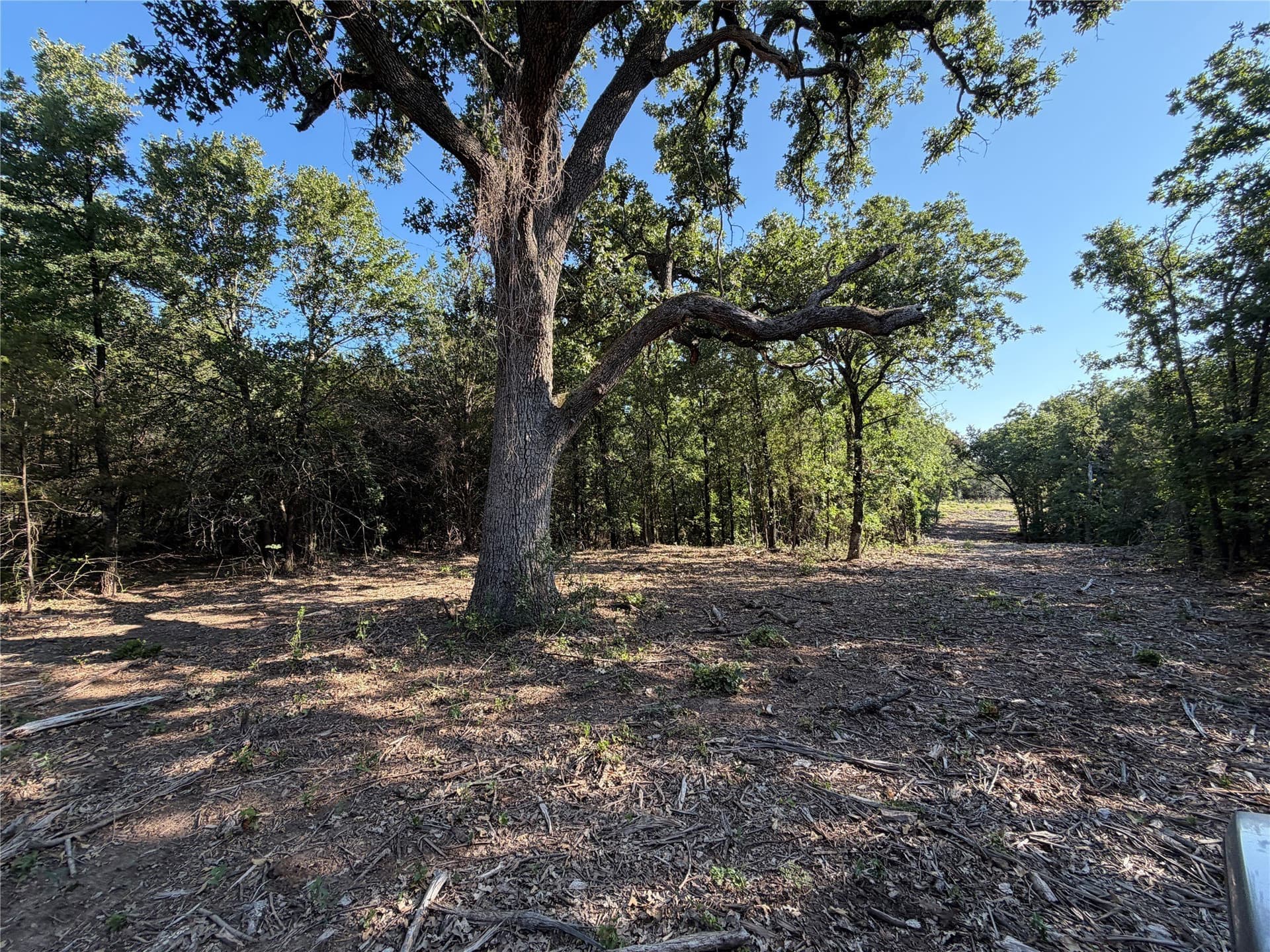 10.09 acres in Bosque County - photo 21