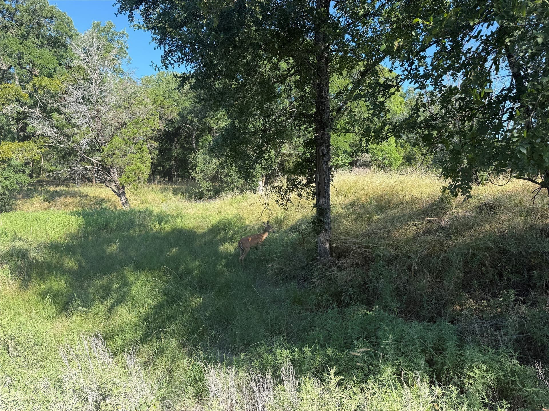 10.09 acres in Bosque County - photo 30