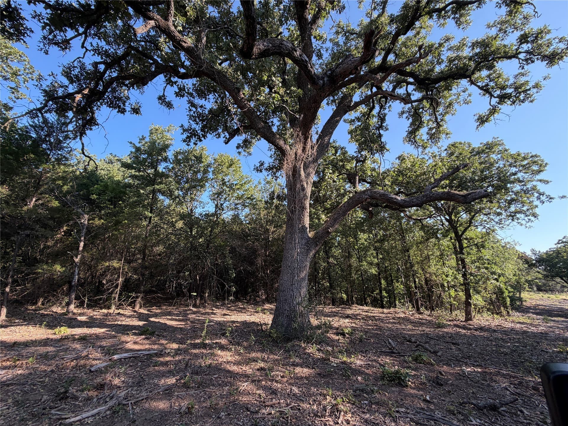 10.09 acres in Bosque County - photo 20