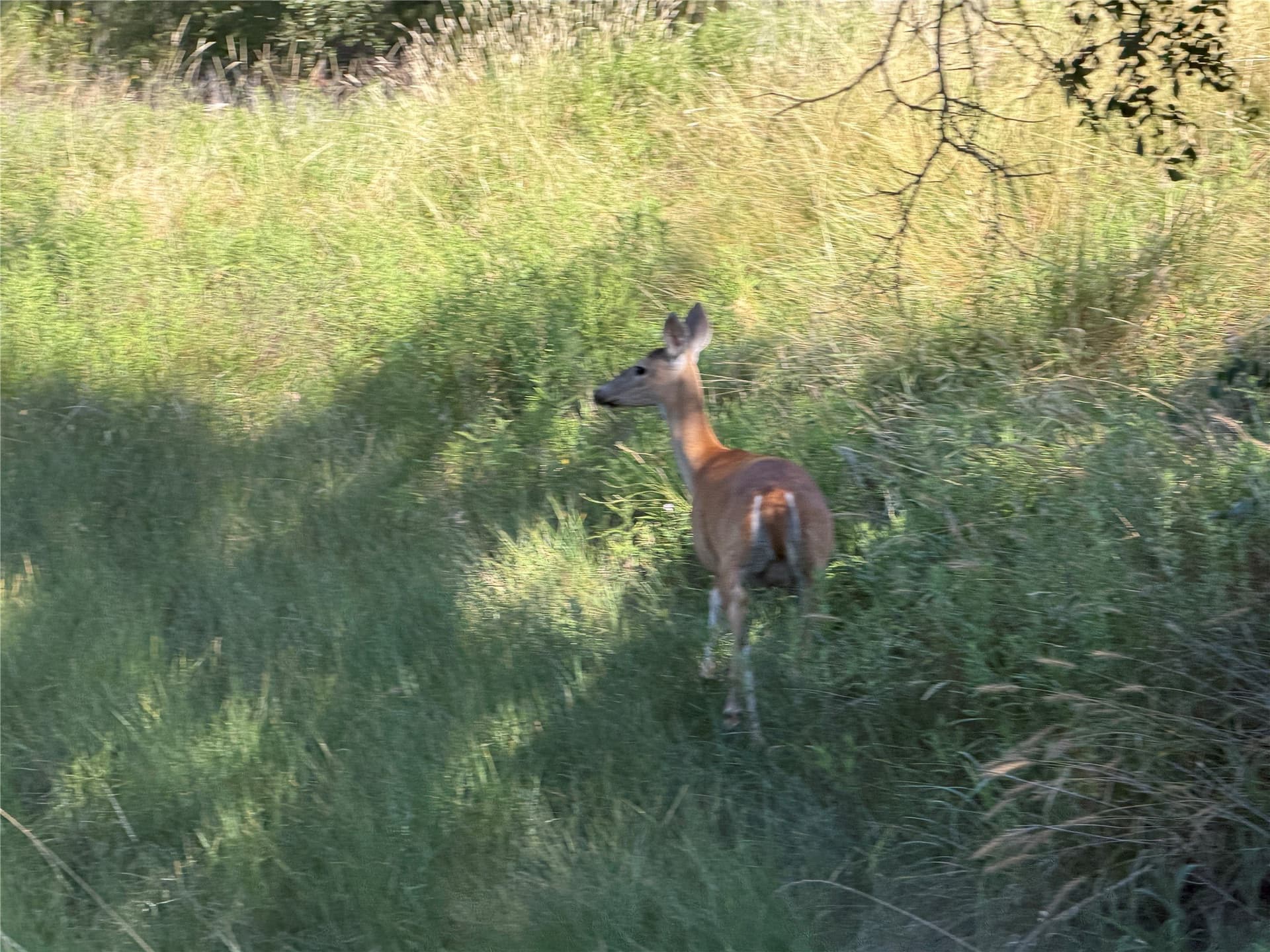 10.09 acres in Bosque County - photo 31