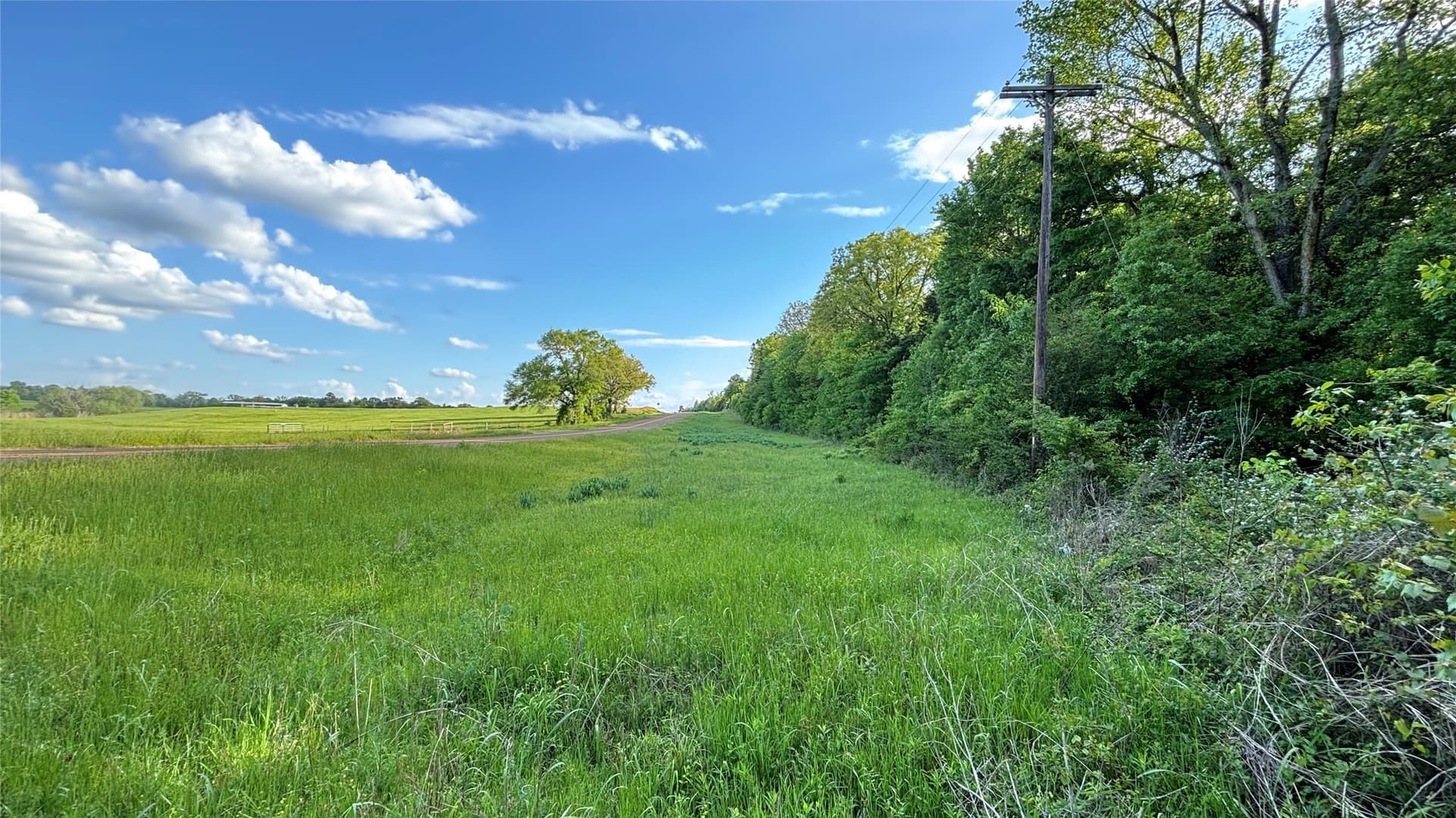 20 acres in Wood County - photo 9