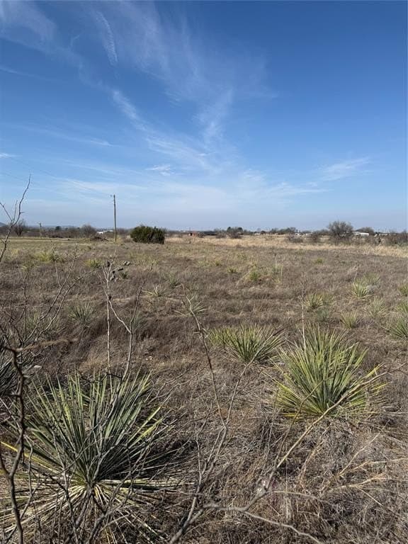 2 acres in Taylor County gallery image 2