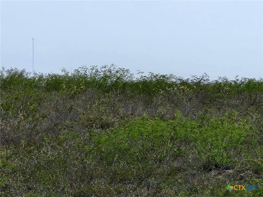 17.37 acres in Live Oak County featured view