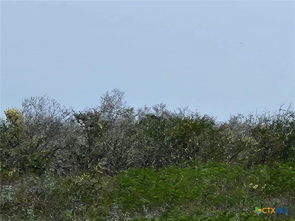 17.37 acres in Live Oak County