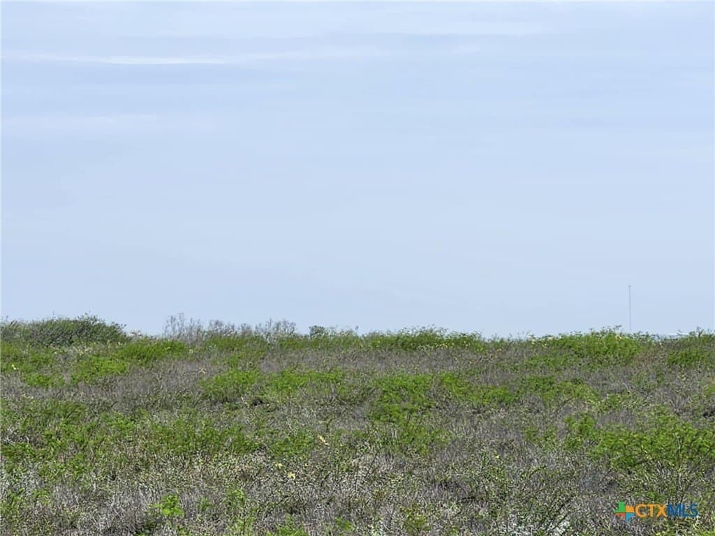 17.37 acres in Live Oak County gallery image 3