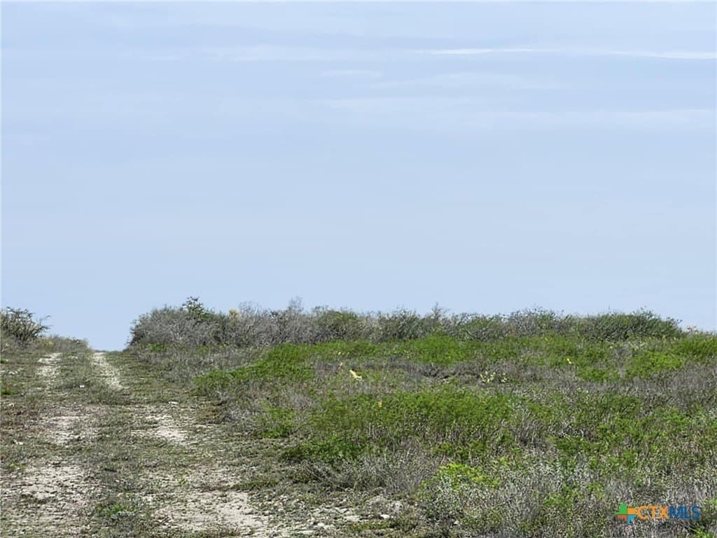 17.37 acres in Live Oak County gallery image 4