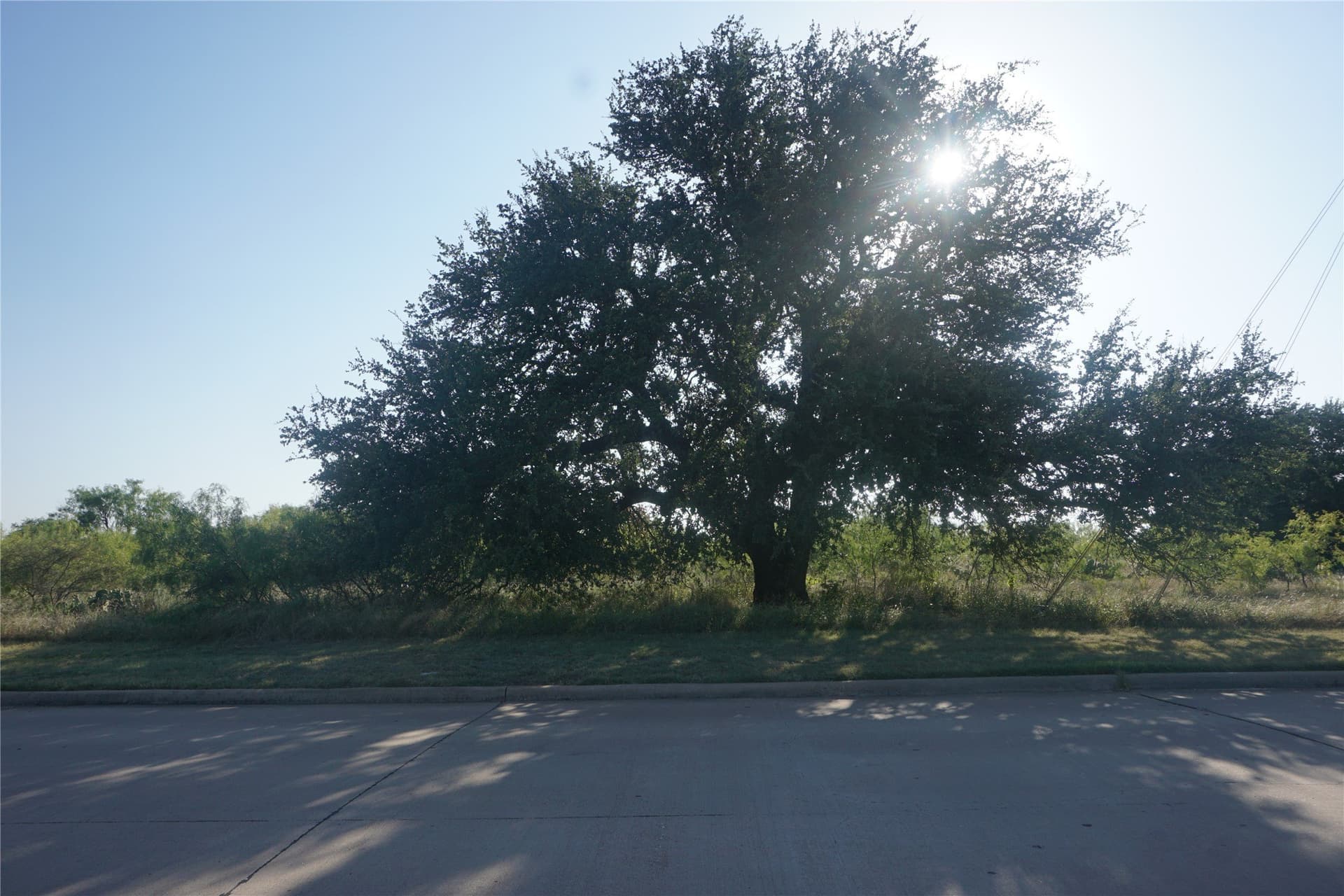 0.37 acres in Palo Pinto County - photo 5