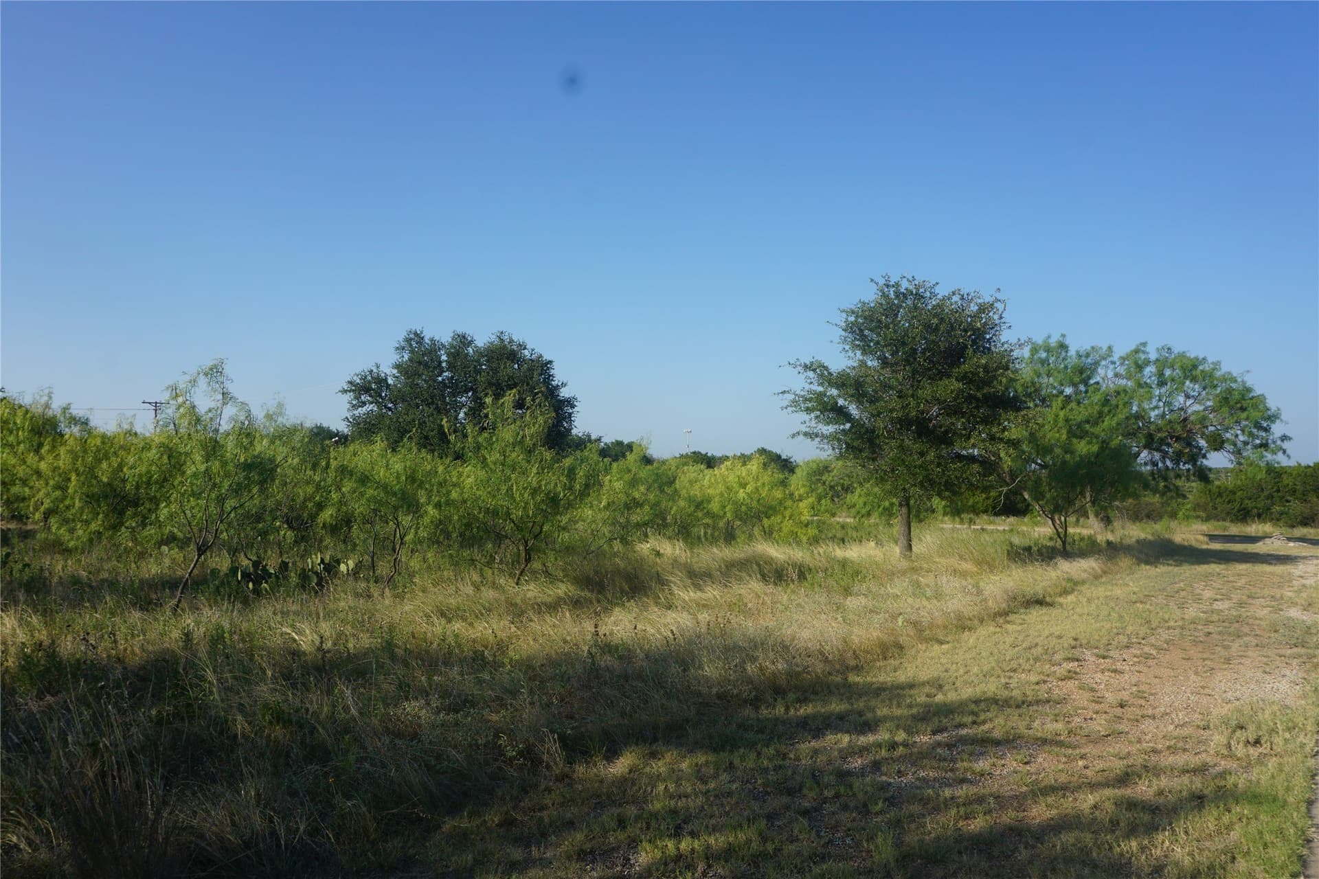 0.37 acres in Palo Pinto County - photo 7