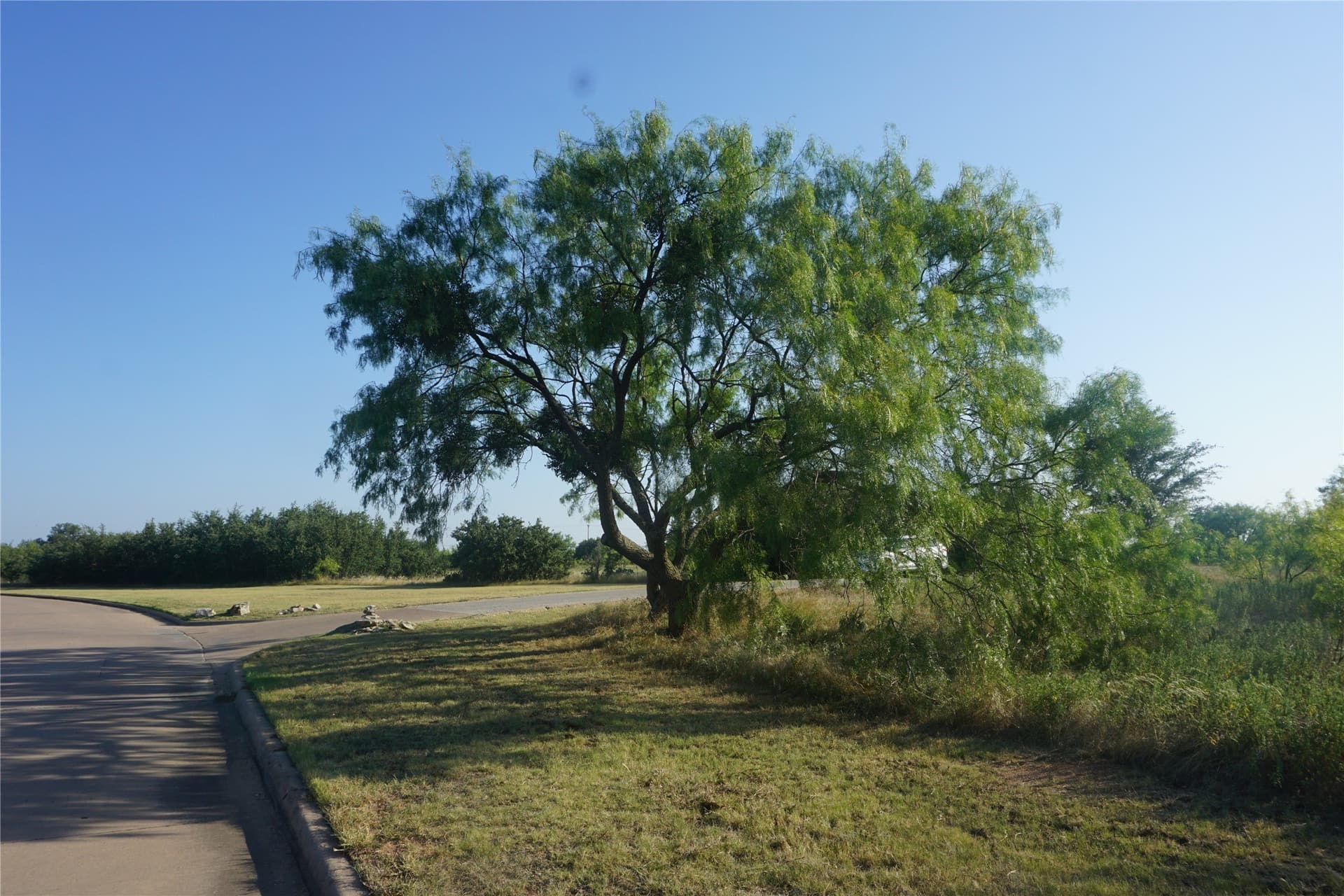 0.37 acres in Palo Pinto County - photo 9