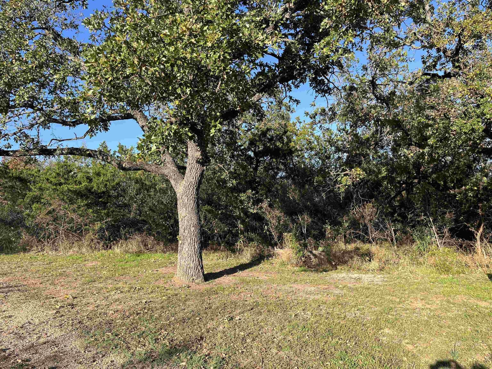 0.39 acres in Llano County gallery image 4