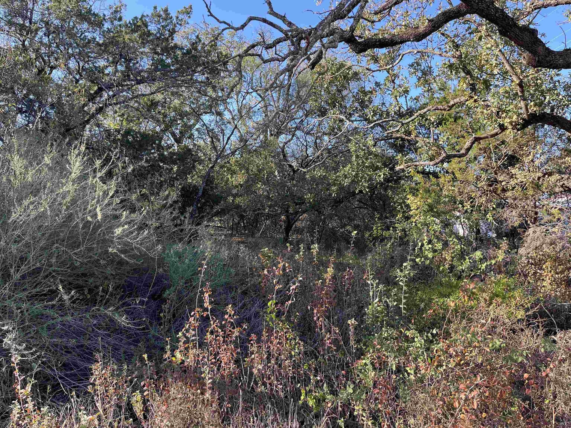 0.39 acres in Llano County featured view