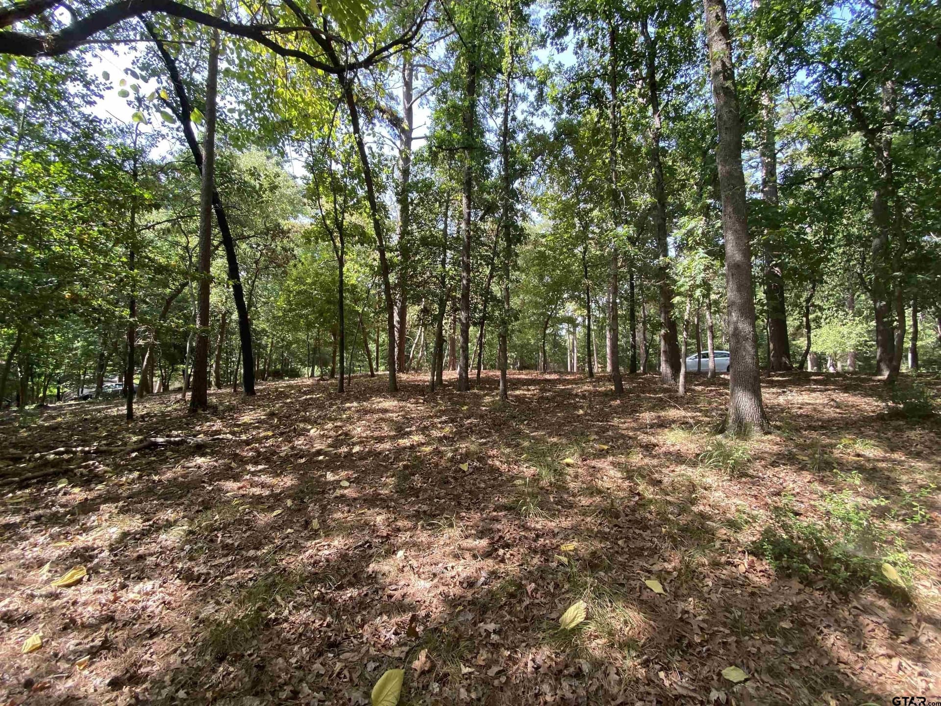 0.49 acres in Wood County gallery image 3