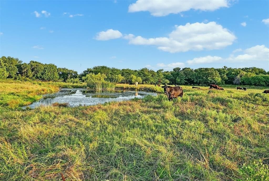 15.05 acres in Grayson County gallery image 3