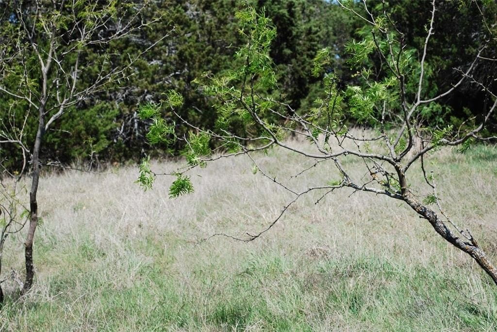 0.7 acres in Hill County gallery image 3