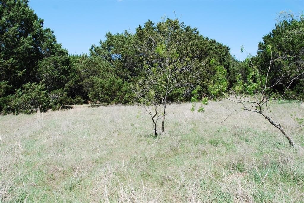 0.7 acres in Hill County gallery image 4