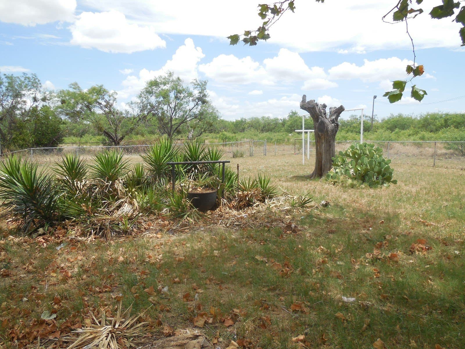 11.64 acres in Stephens County - photo 11