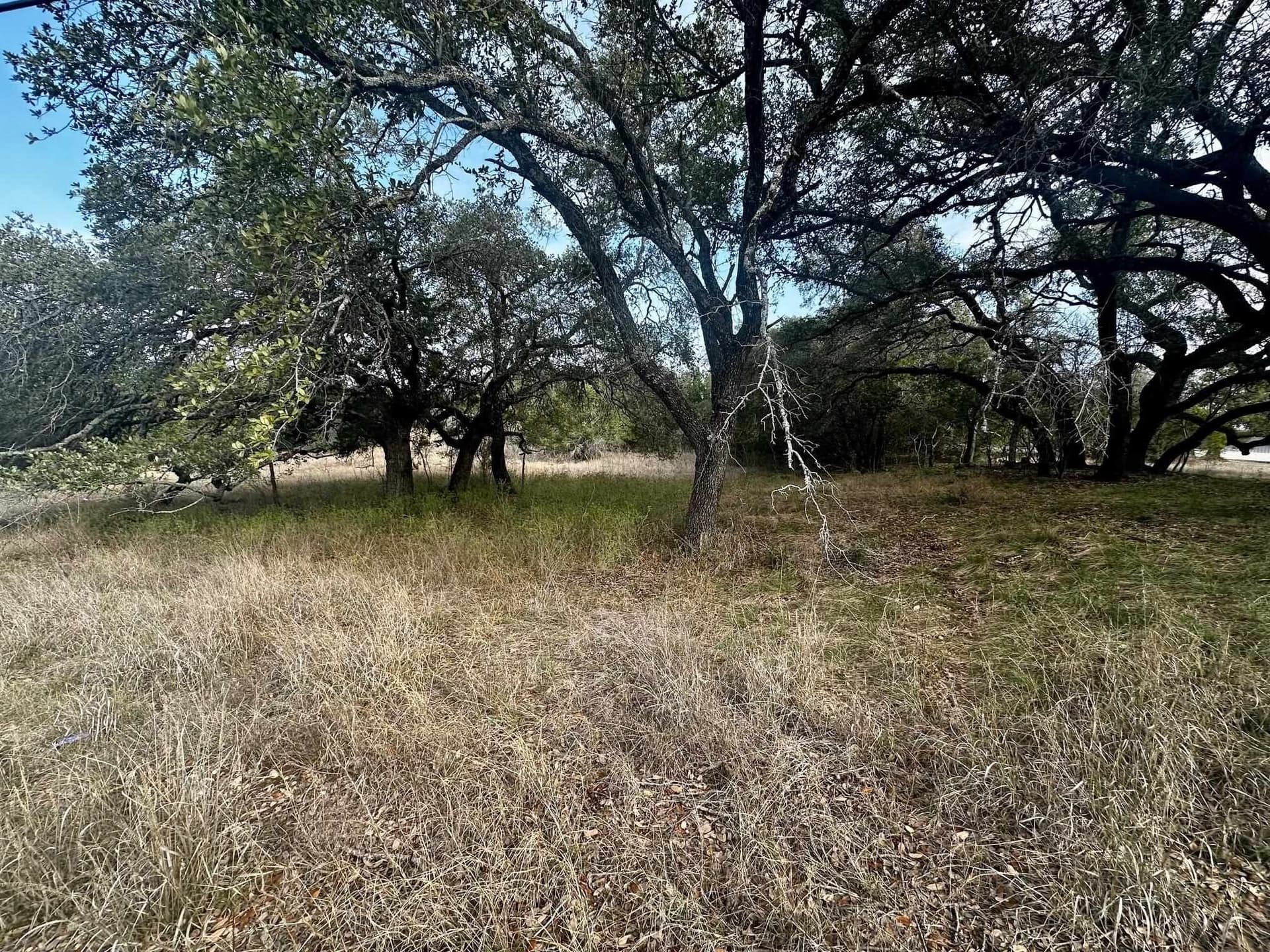 0.22 acres in Burnet County gallery image 4