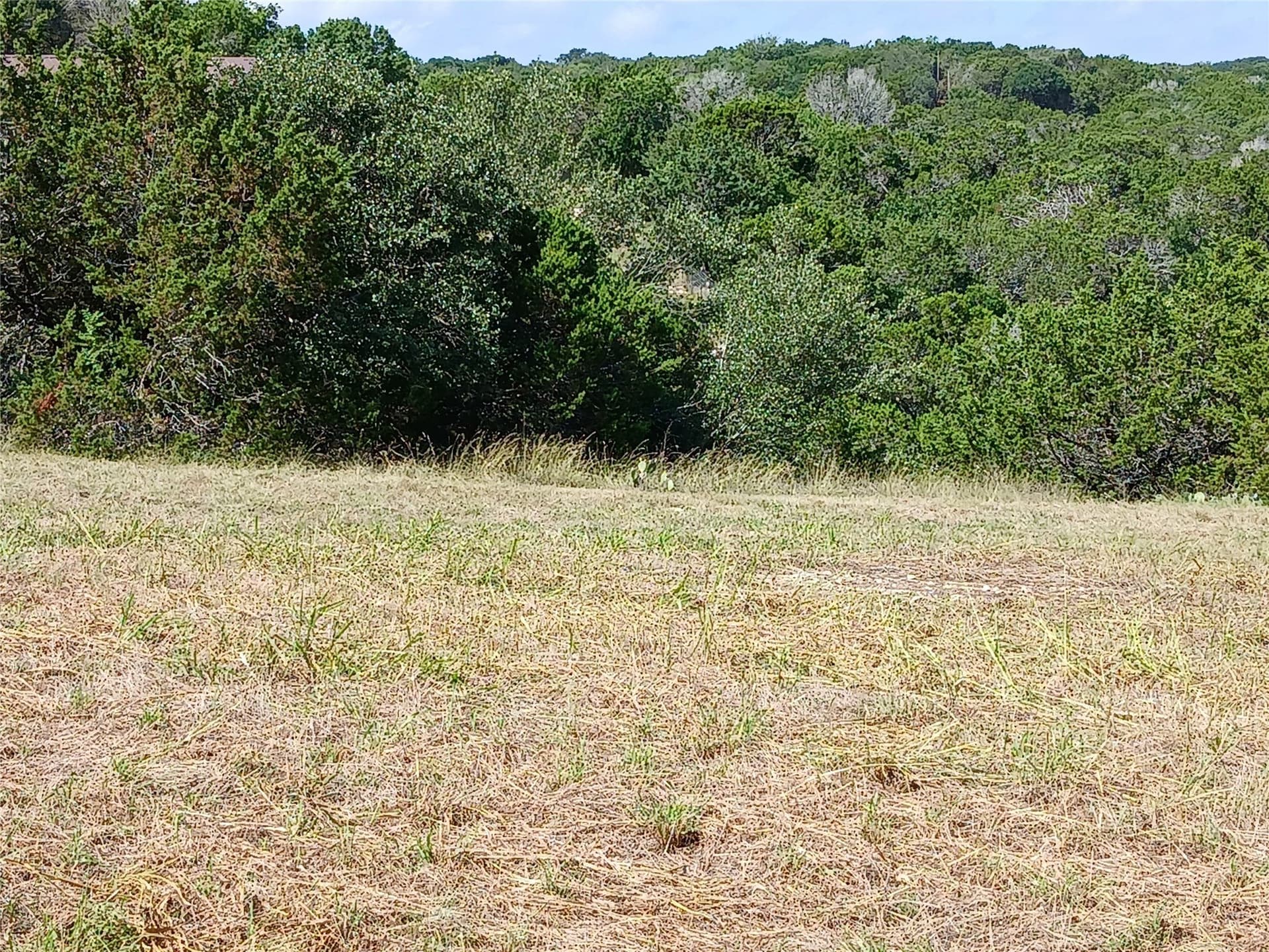 0.9 acres in Bosque County gallery image 4