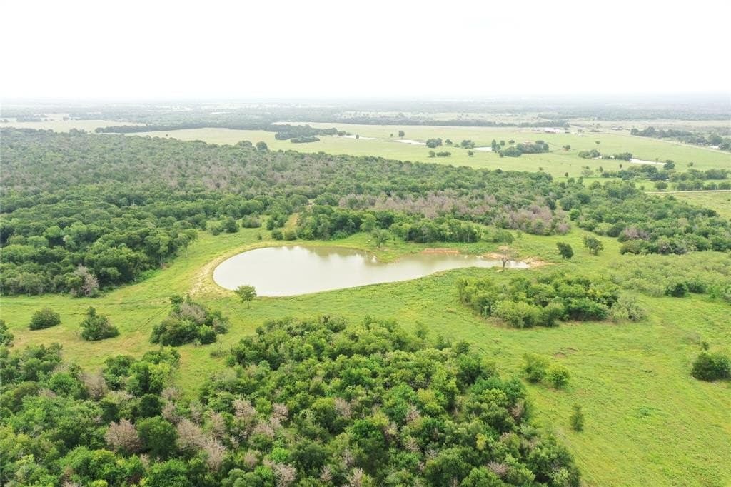 47.78 acres in Freestone County gallery image 4