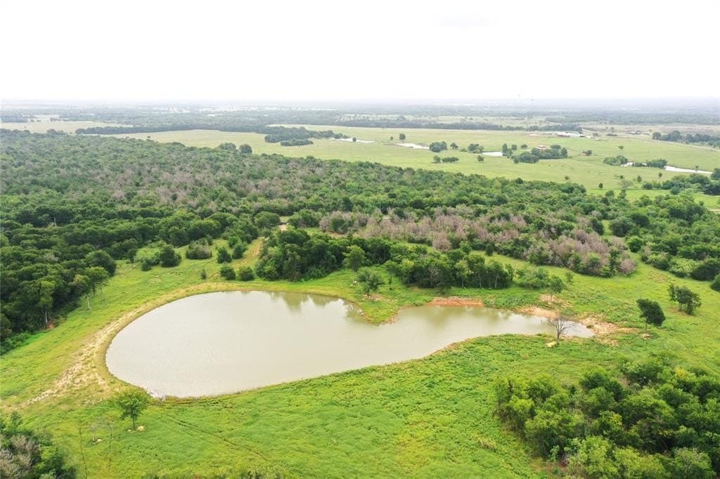 47.78 acres in Freestone County gallery image 2