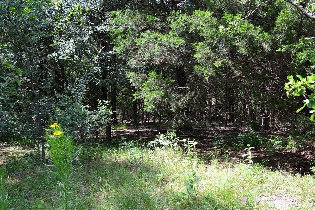 22.16 acres in Hunt County featured view