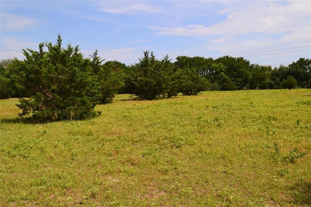 22.16 acres in Hunt County gallery image 3