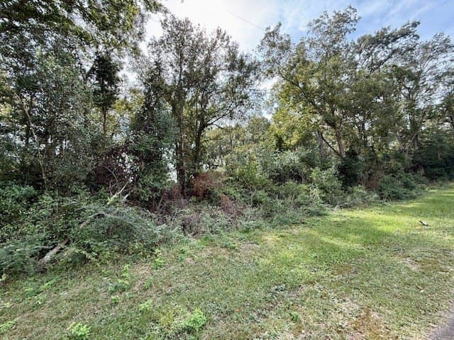 3.14 acres in Texas County gallery image 2