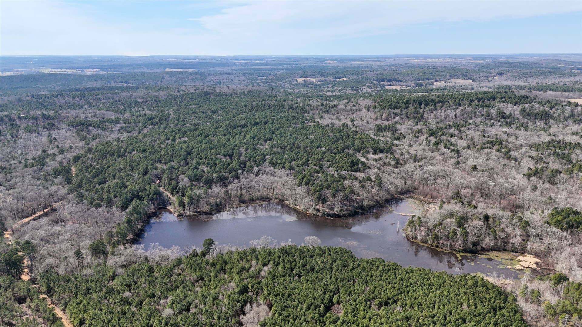 141.71 acres in Anderson County featured view