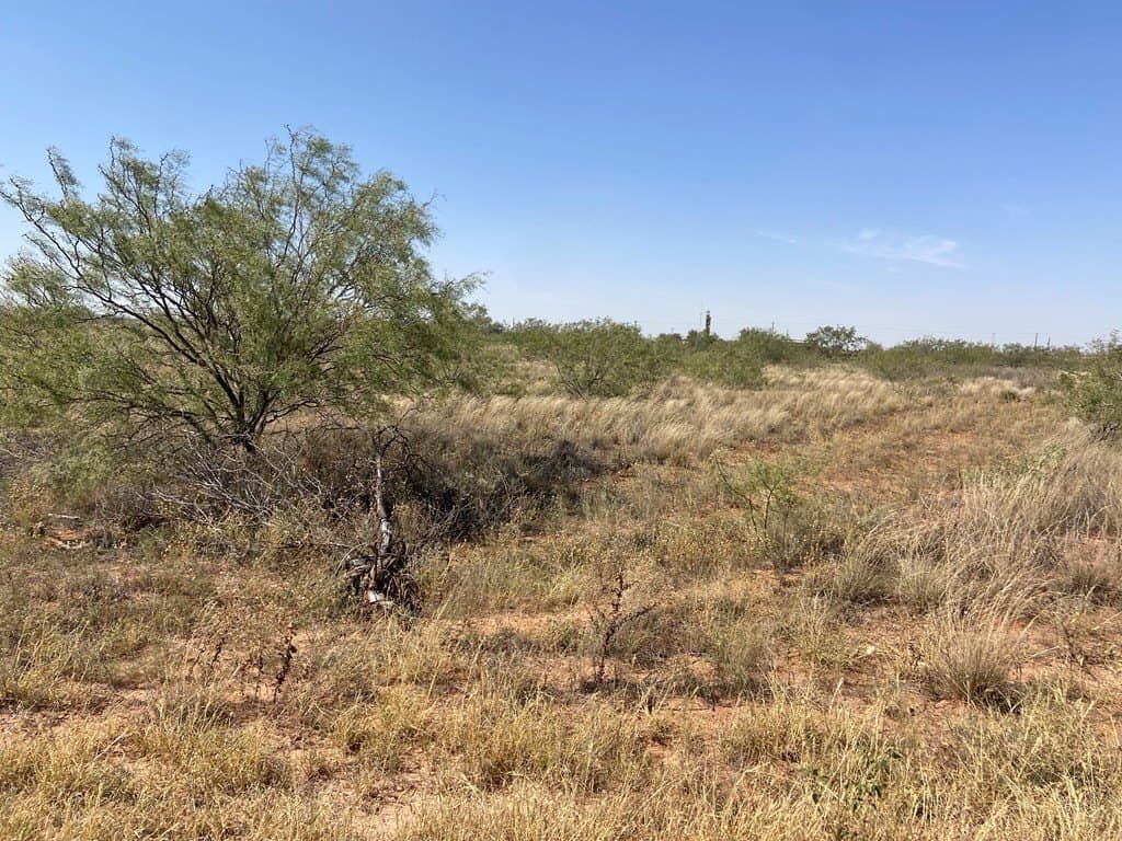 1.23 acres in Midland County - photo 2