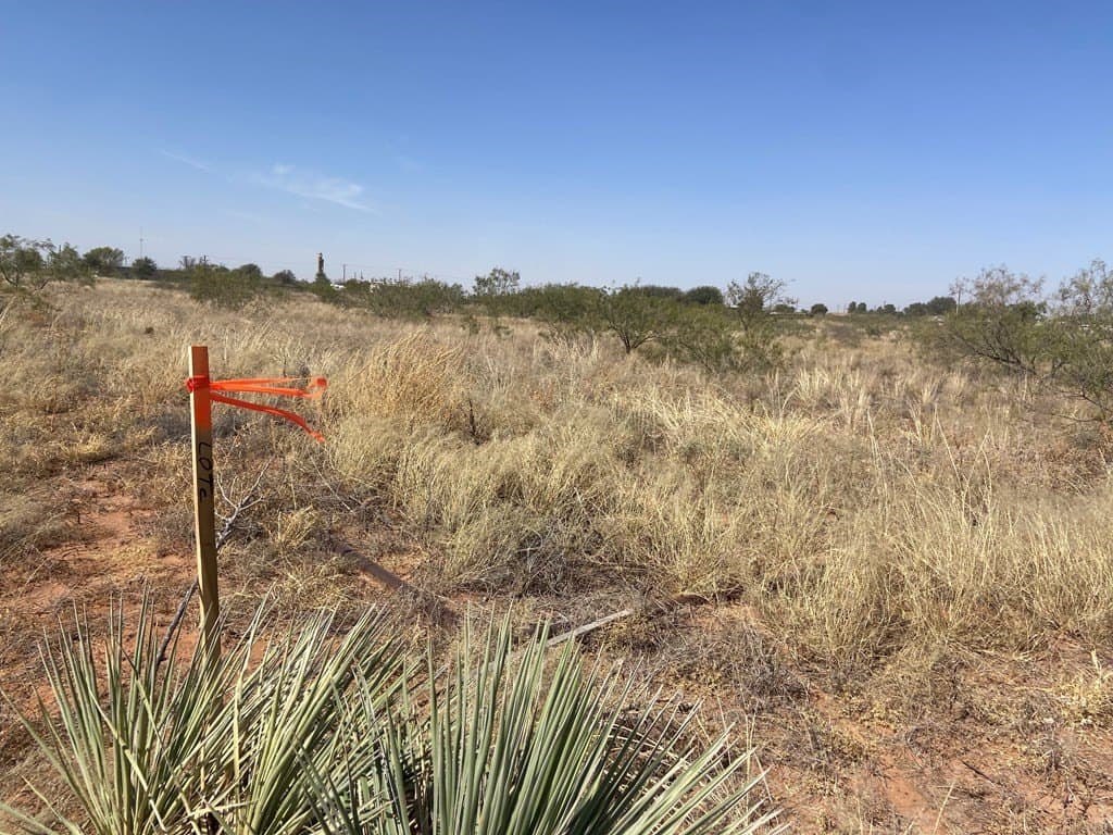 1.23 acres in Midland County - photo 3