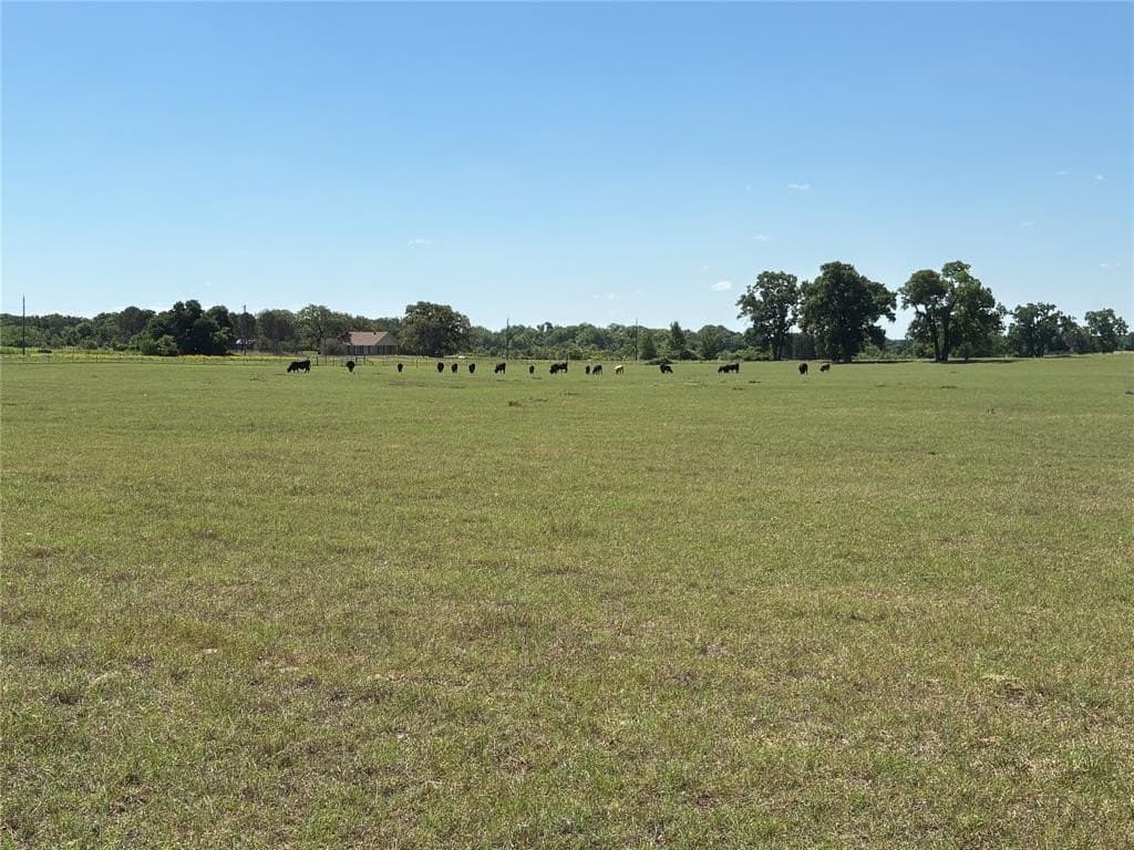 70.92 acres in Comanche County gallery image 2