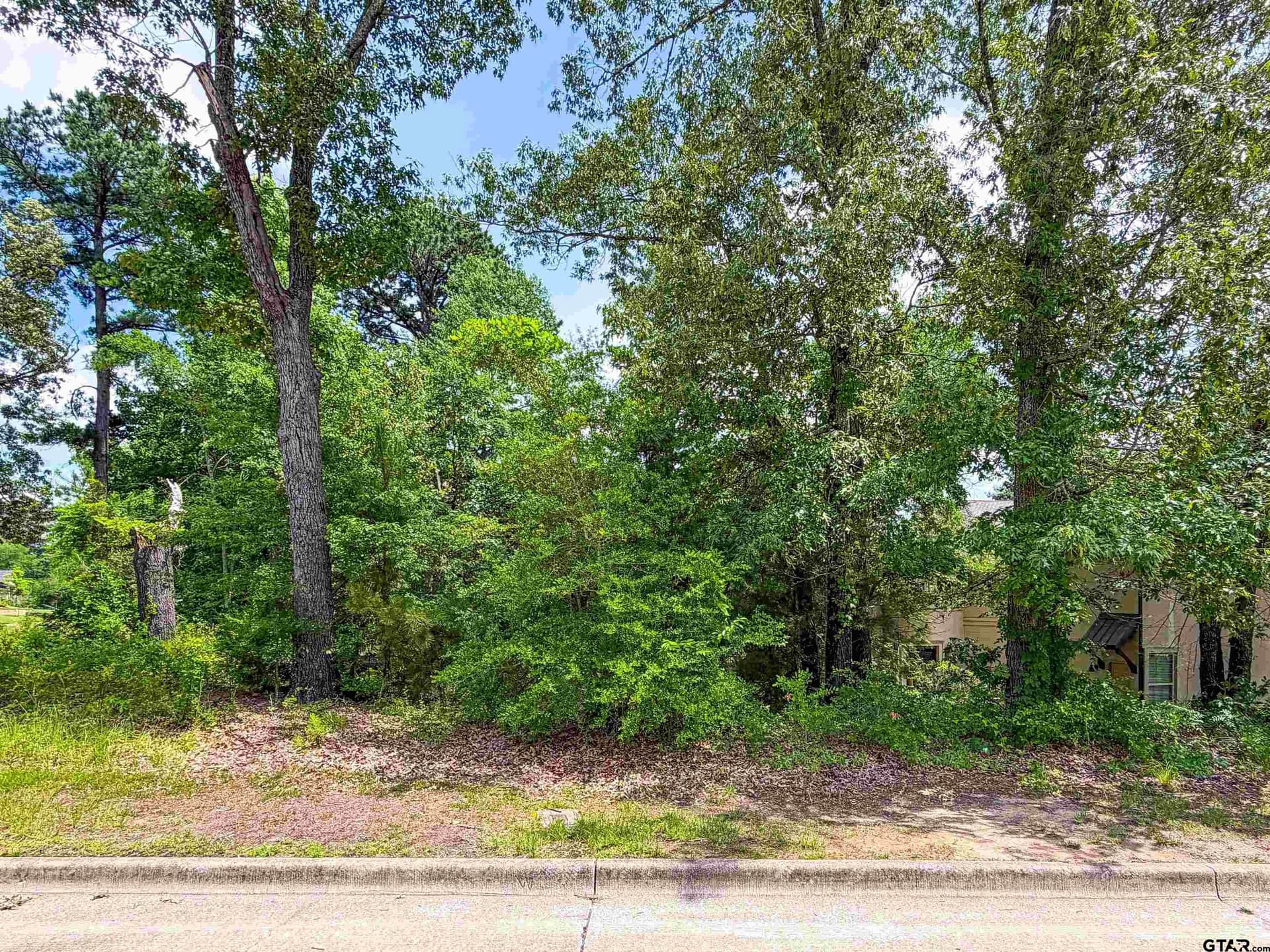 0.41 acres in Smith County gallery image 4