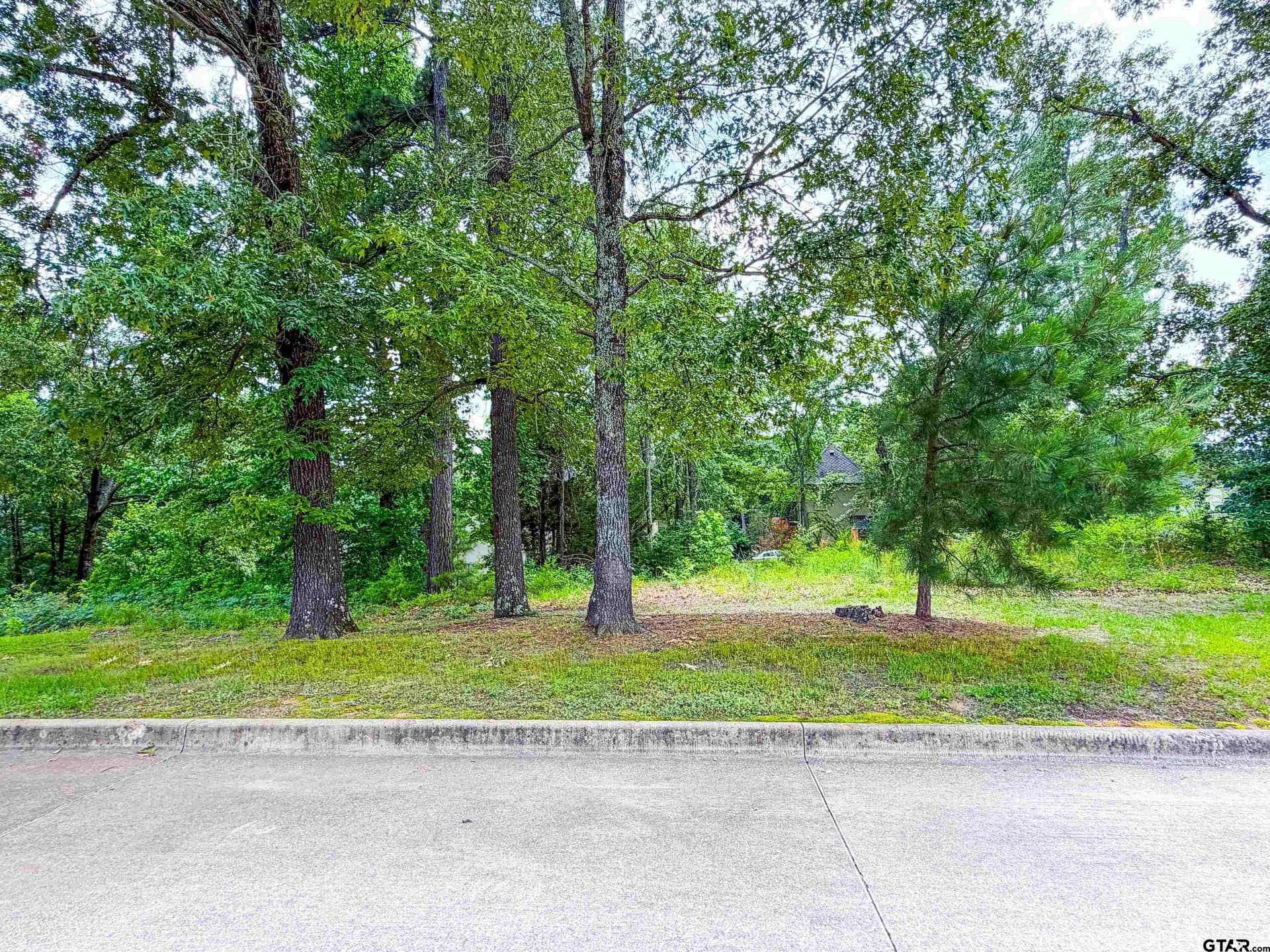 0.41 acres in Smith County - photo 6