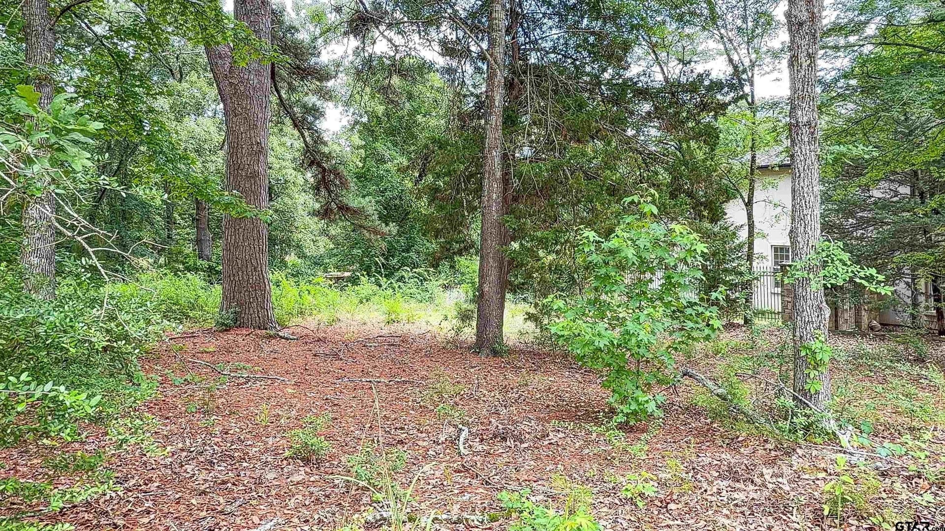 0.41 acres in Smith County - photo 8