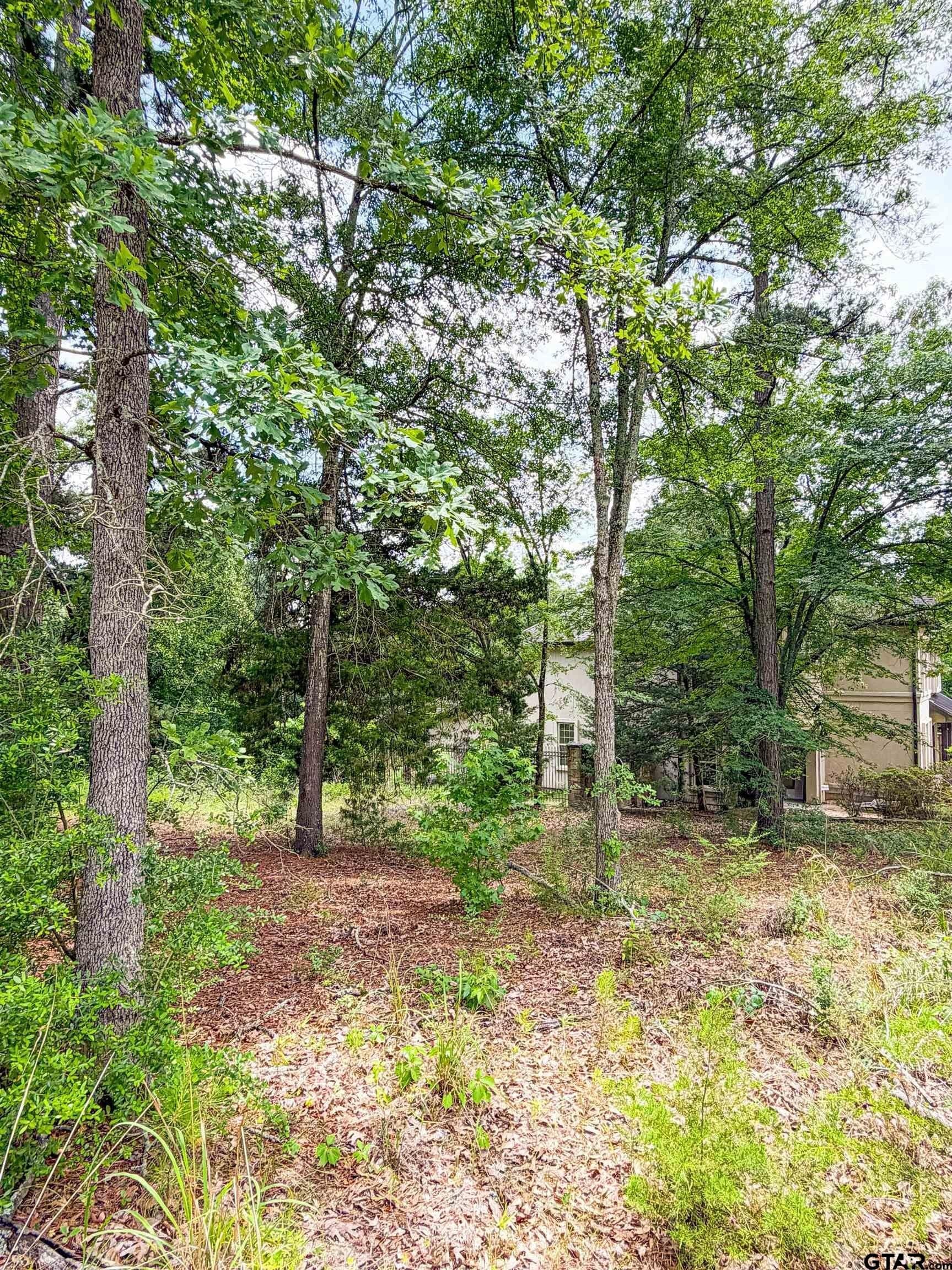 0.41 acres in Smith County - photo 9