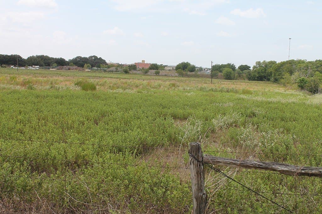 16.32 acres in Colorado County gallery image 4