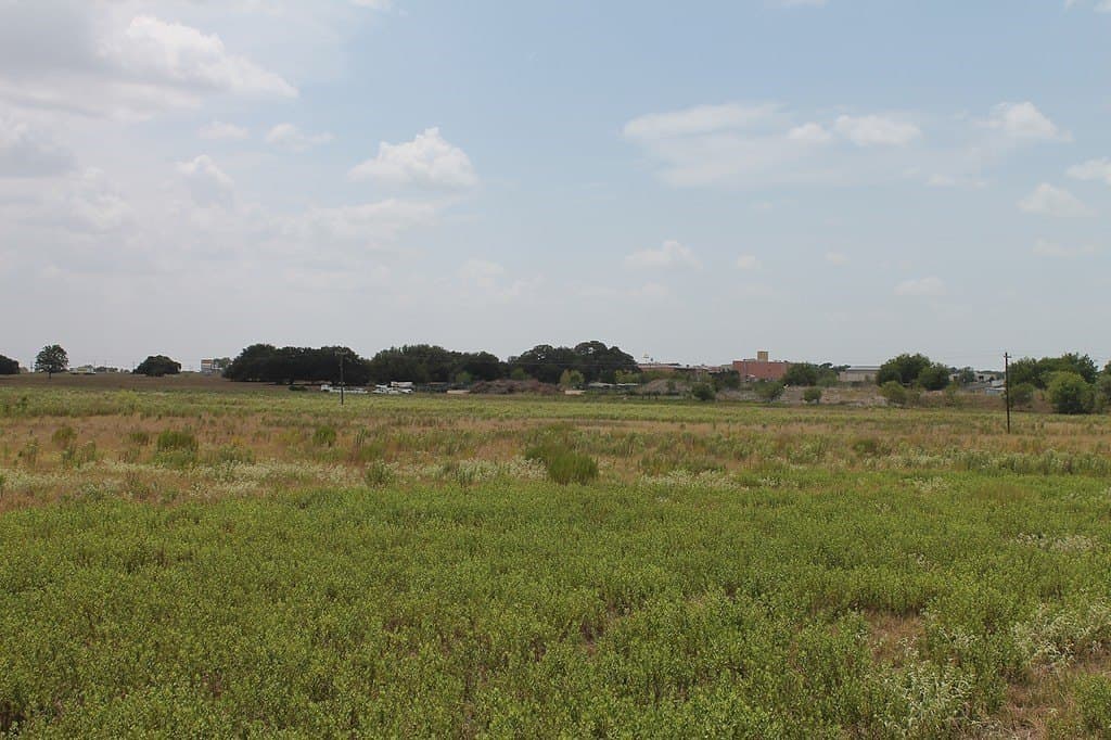 16.32 acres in Colorado County featured view