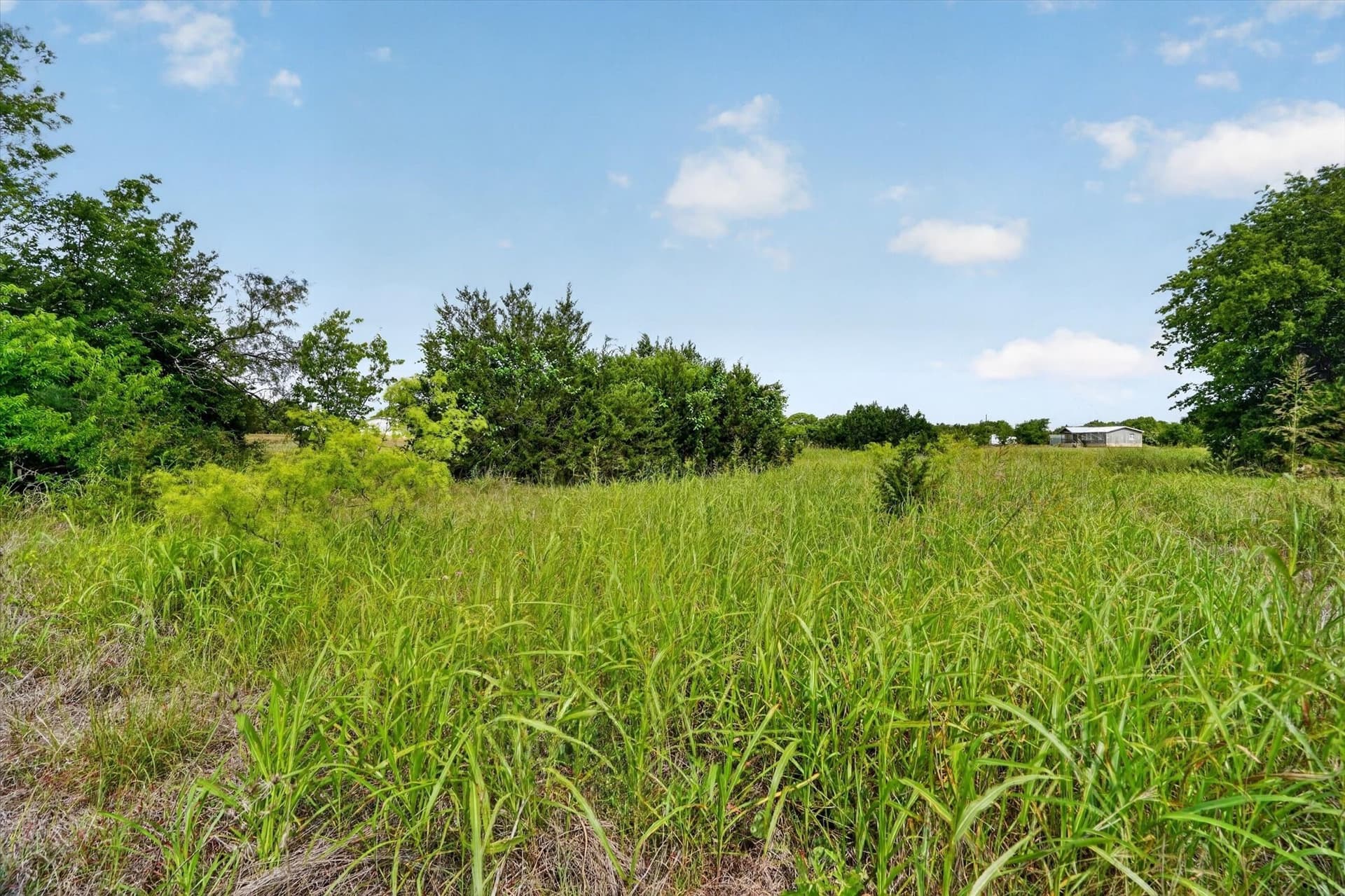 1 acres in Hill County - photo 19