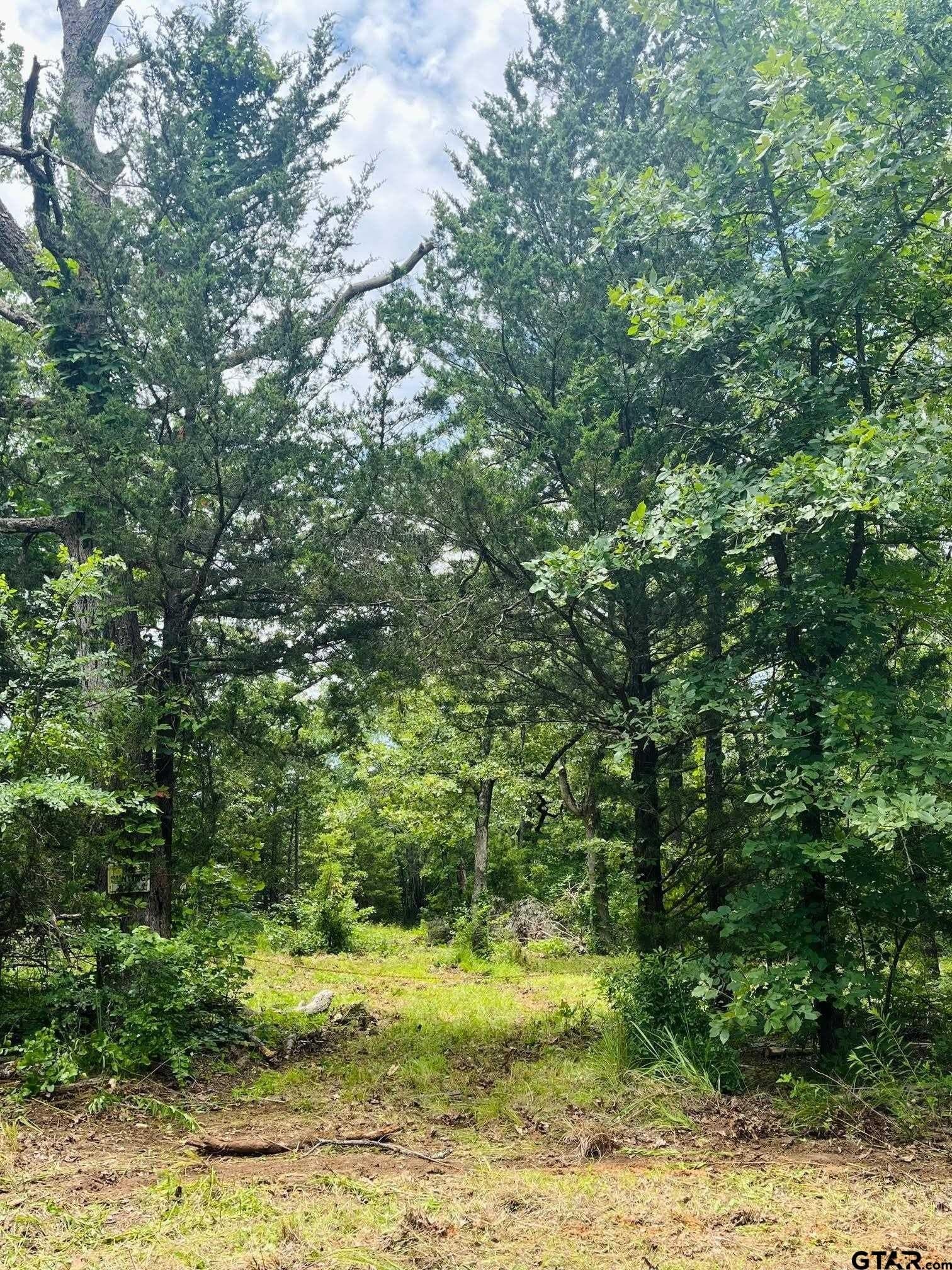 24 acres in Van Zandt County featured view