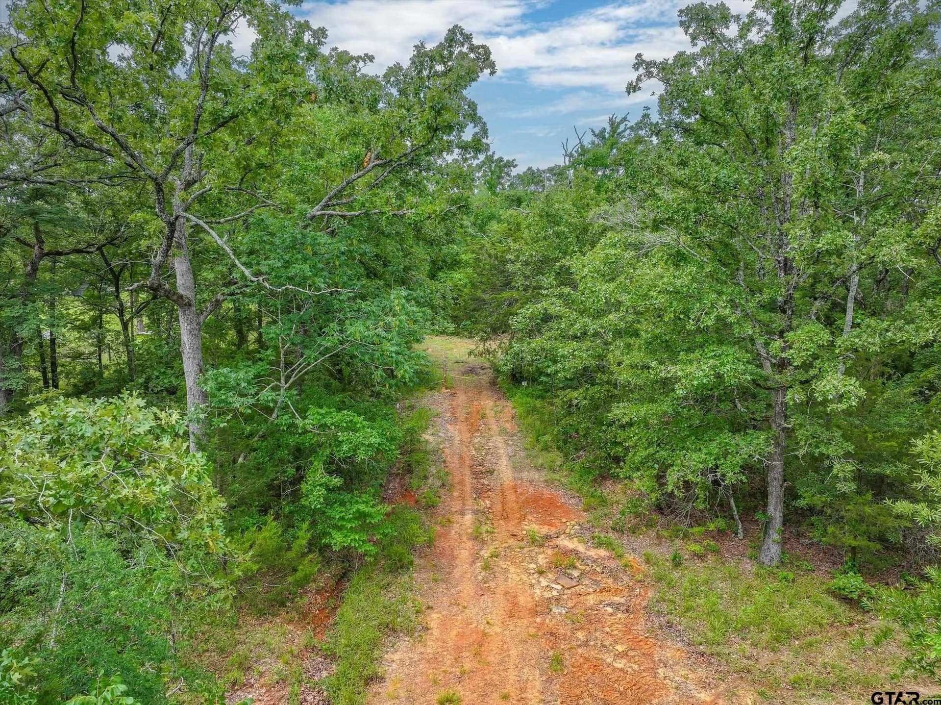 24 acres in Van Zandt County gallery image 4