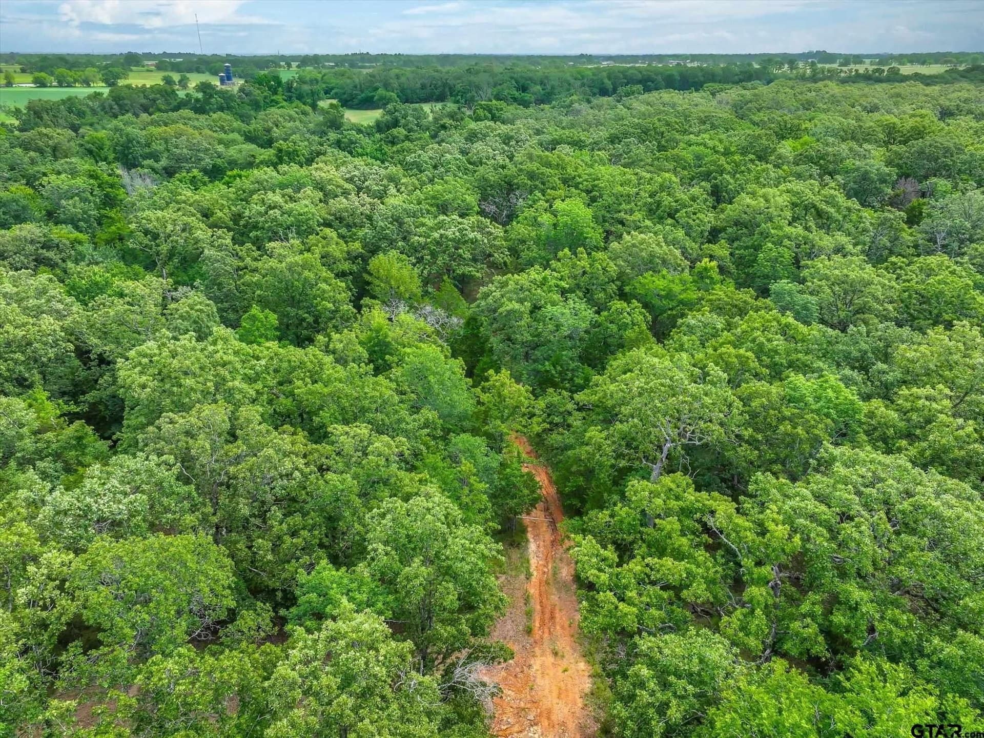 24 acres in Van Zandt County gallery image 3