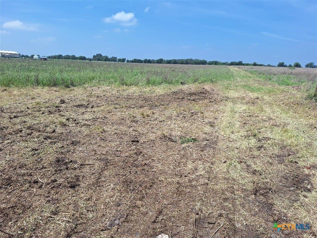 10.01 acres in Williamson County gallery image 2