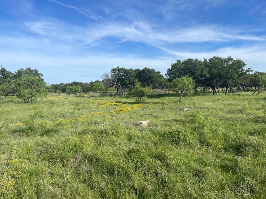 100 acres in Schleicher County - photo 17