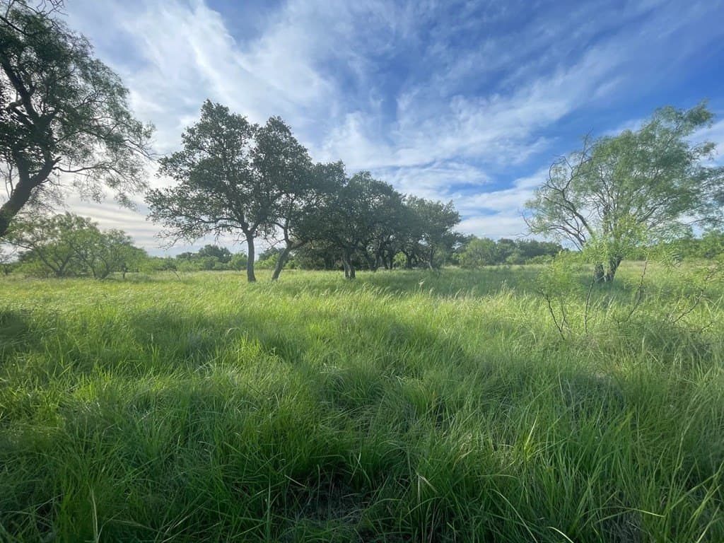 100 acres in Schleicher County - photo 10