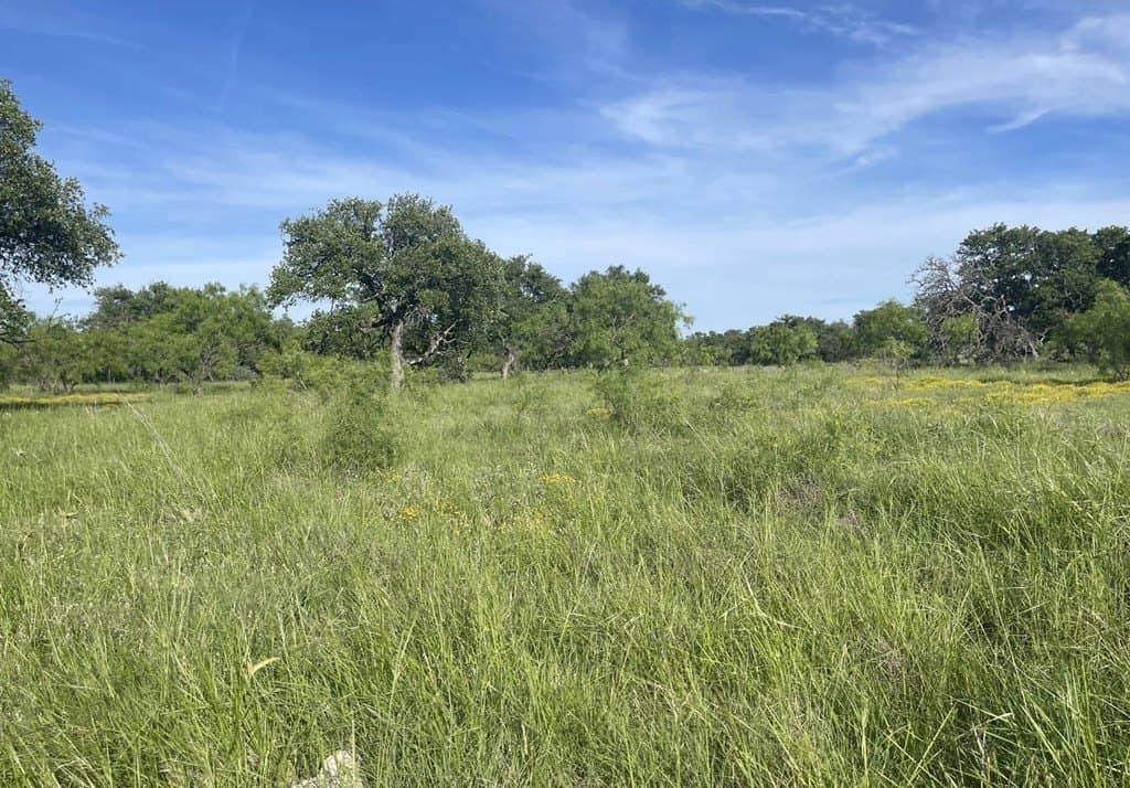 100 acres in Schleicher County - photo 18