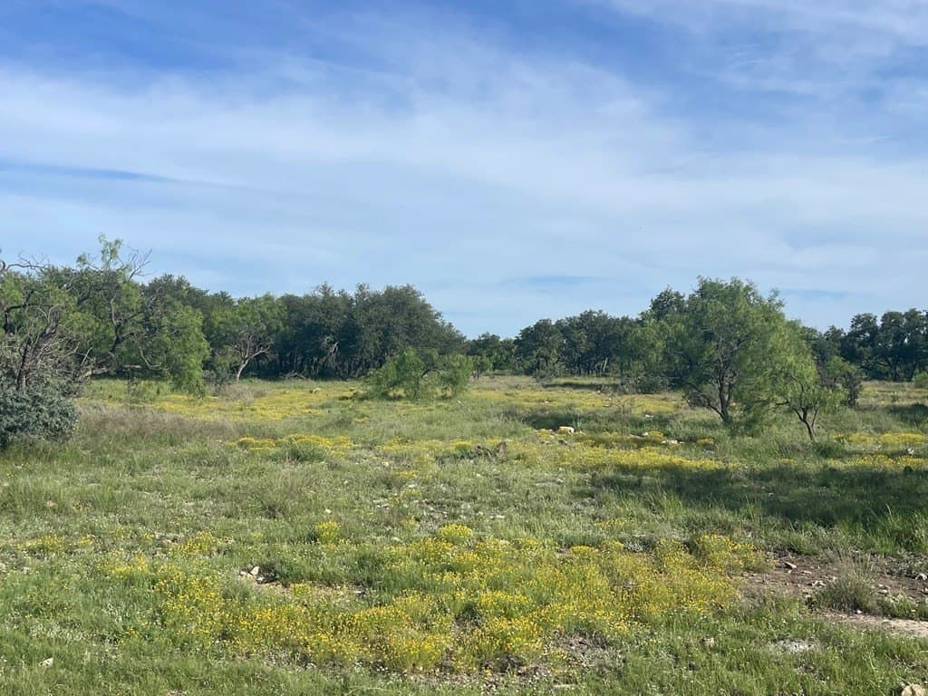 100 acres in Schleicher County - photo 8