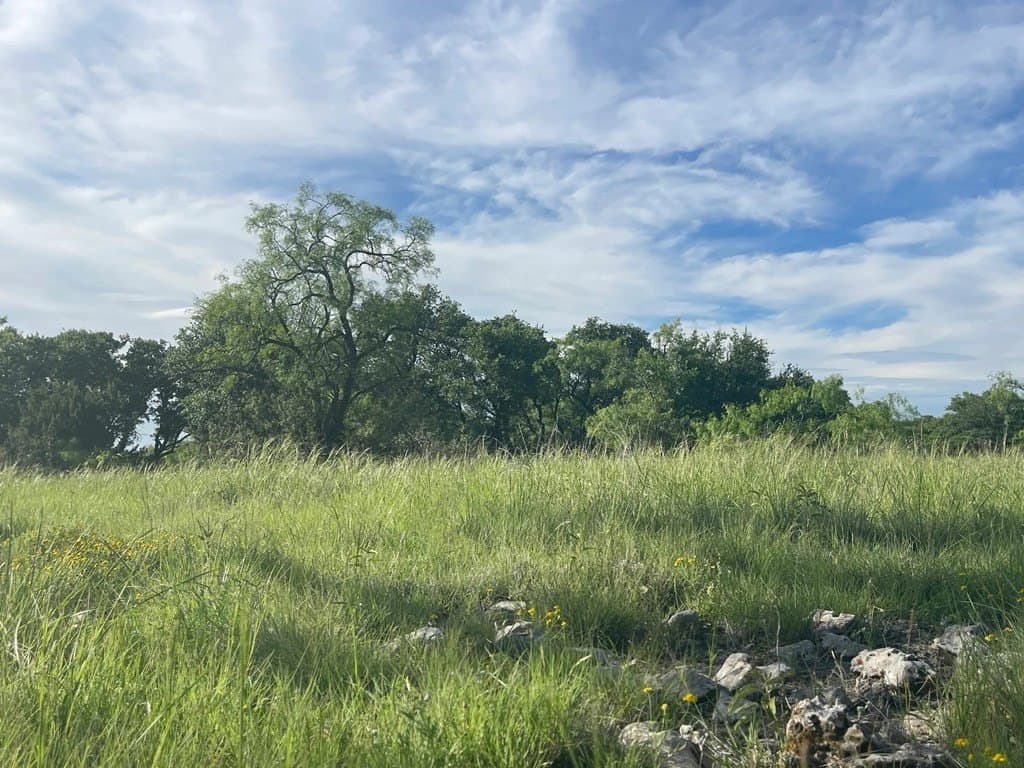 100 acres in Schleicher County - photo 13