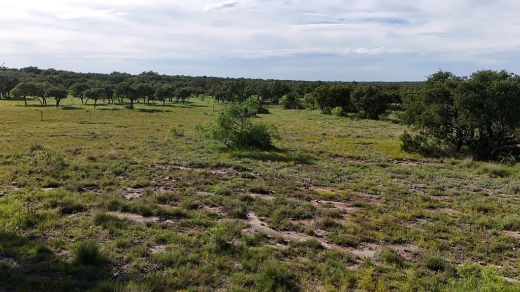 100 acres in Schleicher County - photo 33