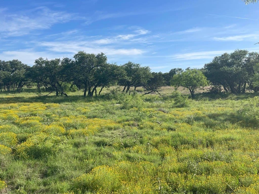 100 acres in Schleicher County - photo 14